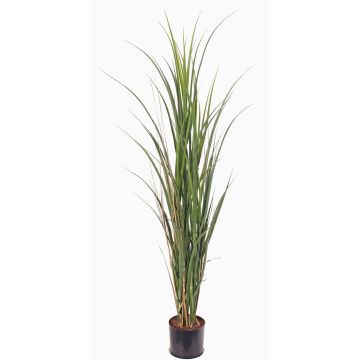 Artificial sugarcane SITHAMI, crossdoor, green, 4ft/115cm