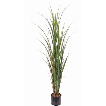 Artificial sugarcane SITHAMI, crossdoor, green, 4ft/115cm