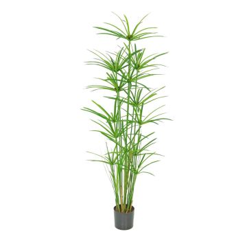 Artificial Cyprus grass LEITHA, green, 5ft/150cm