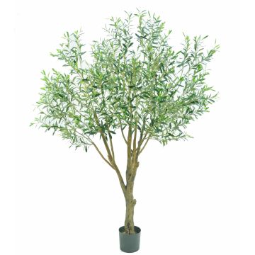 Plastic olive tree BITAC, artificial trunk, 7ft/200cm Plastic olive tree BITAC, artificial trunk, 7ft/200cm