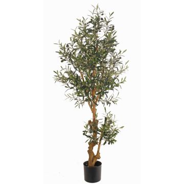 Artificial olive tree LAILANA, fruit, artificial trunk, 5ft/150cm Artificial olive tree LAILANA, fruit, artificial trunk, 5ft/150cm