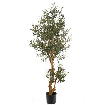 Artificial olive tree LAILANA, fruit, artificial trunk, 5ft/150cm Artificial olive tree LAILANA, fruit, artificial trunk, 5ft/150cm