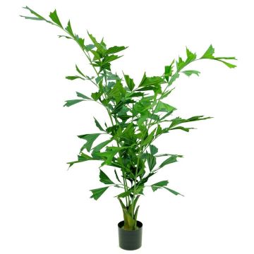 Plastic fishtail palm ORIAS, 5ft/140cm Plastic fishtail palm ORIAS, 5ft/140cm