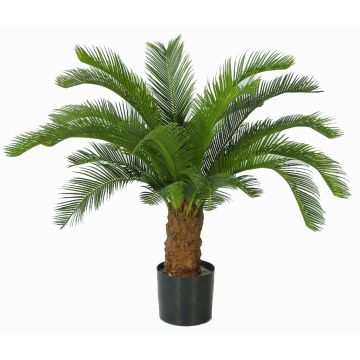 Cycas SLITAL decorative palm, 31"/80cm