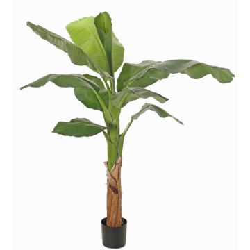 Artificial banana tree SCHWANA, 5ft/150cm Artificial banana tree SCHWANA, 5ft/150cm
