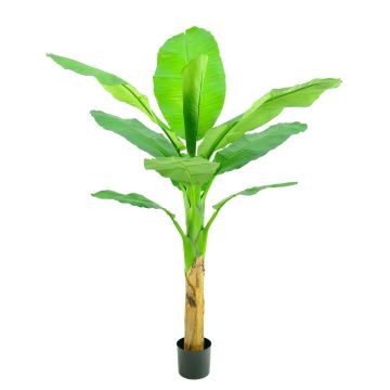 Artificial banana tree SCHWANA, 5ft/150cm Artificial banana tree SCHWANA, 5ft/150cm