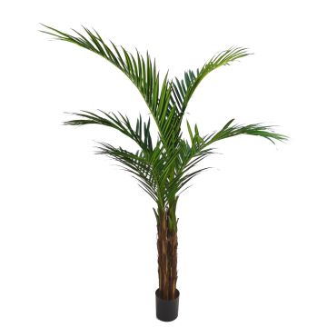 Artificial Ravenea palm NISANA, 160cm