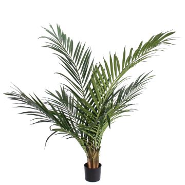 Artificial Ravenea palm SANDRIN, crossdoor, 145cm