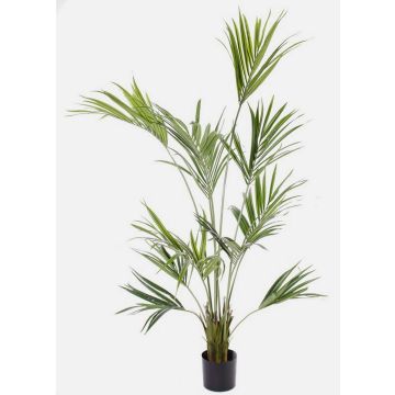 Artificial Kentia palm PAIGE, 6ft/185cm