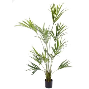 Artificial Kentia palm PAIGE, 6ft/185cm
