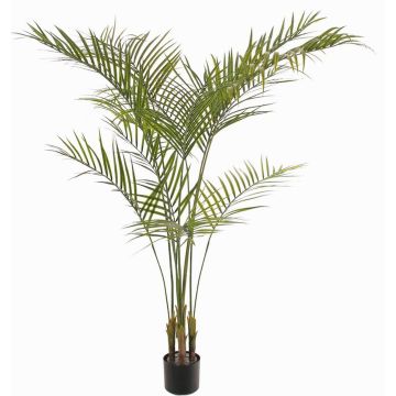 Artificial Arec palm AFENTIS, crossdoor, 5ft/165cm