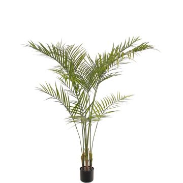 Artificial Arec palm AFENTIS, crossdoor, 165cm Artificial Arec palm AFENTIS, crossdoor, 165cm
