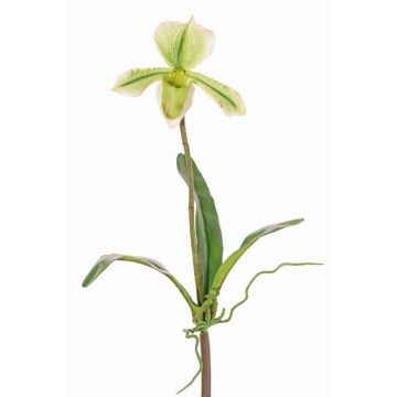 Artificial Paphiopedilum orchid VELANA, spike, green-white, 16"/40cm Artificial Paphiopedilum orchid VELANA, spike, green-white, 16"/40cm