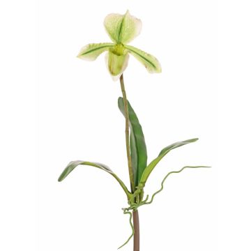 Artificial Paphiopedilum orchid VELANA, spike, green-white, 16"/40cm Artificial Paphiopedilum orchid VELANA, spike, green-white, 16"/40cm