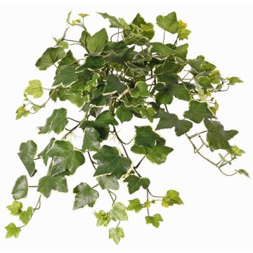 Artificial ivy hanging decoration ARJANA, on a stick, crossdoor, green-white, 20"/50cm