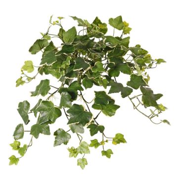 ARJANA artificial ivy hanging decoration, on a stick, crossdoor, green and white, 50cm