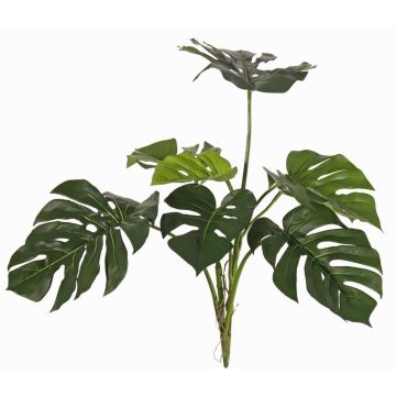 Decorative Philodendron Monstera Deliciosa CHANIA, crossdoor, on a stick, 30"/75cm Decorative Philodendron Monstera Deliciosa CHANIA, crossdoor, on a stick, 30"/75cm