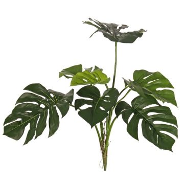 Decorative Philodendron Monstera Deliciosa CHANIA, crossdoor, on a stick, 30"/75cm Decorative Philodendron Monstera Deliciosa CHANIA, crossdoor, on a stick, 30"/75cm