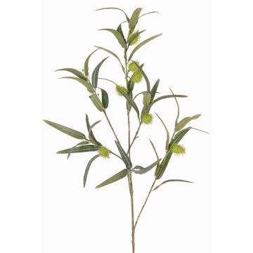 Artificial balloon spurge branch TASMIN, fruits, green, 37"/95cm