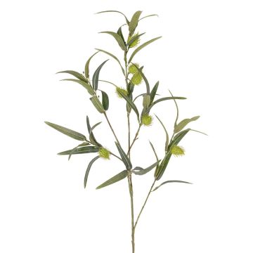 Artificial balloon spurge branch TASMIN, fruits, green, 37"/95cm Artificial balloon spurge branch TASMIN, fruits, green, 37"/95cm
