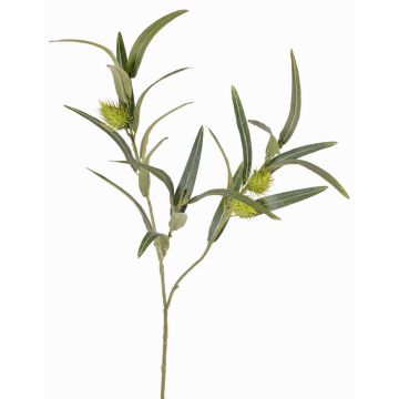 Artificial balloon spurge branch TASMIN, fruits, green, 26"/65cm