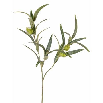 Artificial balloon spurge branch TASMIN, fruits, green, 26"/65cm Artificial balloon spurge branch TASMIN, fruits, green, 26"/65cm