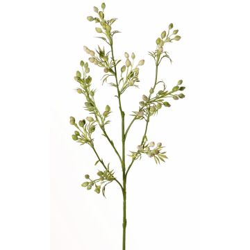 Artificial myrtle branch PALKA with berries, green-white, 26"/65cm