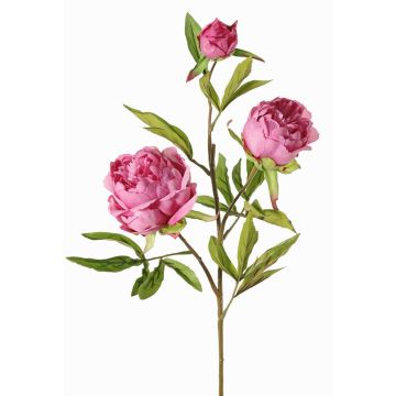 Artificial branch peony MANJA, violet, 28"/70cm, Ø3.1"-3.9"/8-10cm Artificial branch peony MANJA, violet, 28"/70cm, Ø3.1"-3.9"/8-10cm