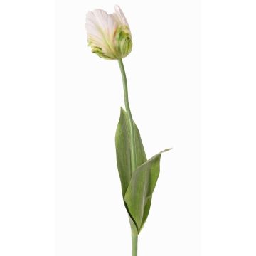 Artificial flower parrot tulip UAKARI, white-green, 26"/65cm, Ø2.4"/6cm Artificial flower parrot tulip UAKARI, white-green, 26"/65cm, Ø2.4"/6cm