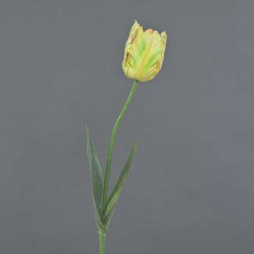 Artificial flower Parrot tulip UAKARI, light yellow-green-pink, 26"/65cm, Ø2.4"/6cm
