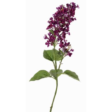 Decorative lilac branch ADMIR, dark violet, 31"/80cm, Ø2.4"-3.5"/6-9cm