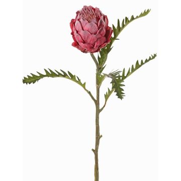 Artificial protea BREGANSA, dusky pink, antique fuchsia, 26"/65cm, Ø2.8"/7cm Artificial protea BREGANSA, dusky pink, antique fuchsia, 26"/65cm, Ø2.8"/7cm