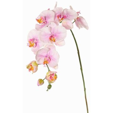 Decorative branch Phalaenopsis orchid WESA, pink-white, 3ft/100cm
