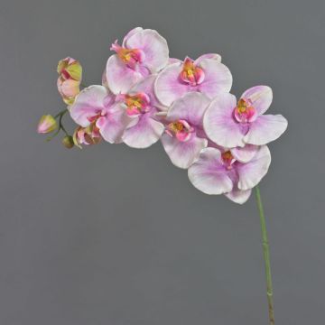 Decorative branch Phalaenopsis orchid WESA, pink-white, 3ft/100cm