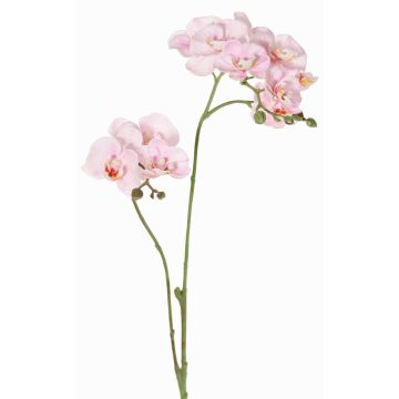 Artificial branch Phalaenopsis orchid VILLANI, pink-white, 24"/60cm, Ø1.4"-2"/3.5-5cm Artificial branch Phalaenopsis orchid VILLANI, pink-white, 24"/60cm, Ø1.4"-2"/3.5-5cm