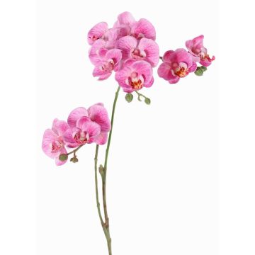 Artificial branch Phalaenopsis orchid VILLANI, pink-fuchsia, 24"/60cm, Ø1.4"-2"/3.5-5cm Artificial branch Phalaenopsis orchid VILLANI, pink-fuchsia, 24"/60cm, Ø1.4"-2"/3.5-5cm