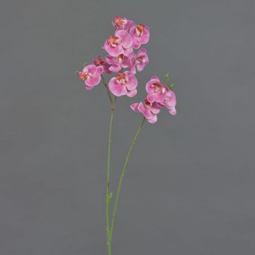 Artificial branch Phalaenopsis orchid VILLANI, pink-fuchsia, 26"/65cm Artificial branch Phalaenopsis orchid VILLANI, pink-fuchsia, 26"/65cm