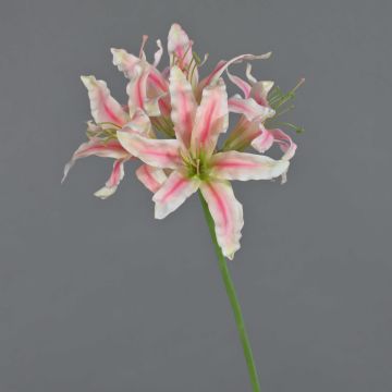 Artificial garden amaryllis KUSTANA, pink-cream-green, 70cm, Ø10–16cm