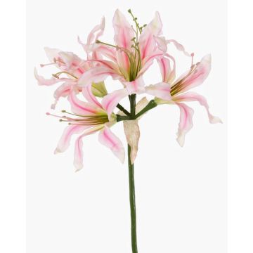 Artificial garden amaryllis KUSTANA, pink-cream-green, 70cm, Ø10–16cm