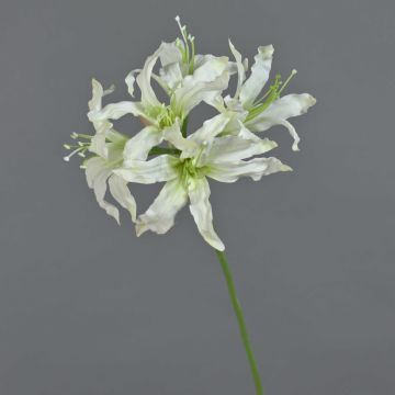 Artificial garden amaryllis KUSTANA, white and green, 70cm, Ø10–16cm