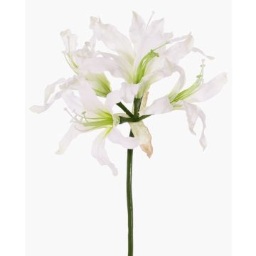 Artificial garden amaryllis KUSTANA, white and green, 70cm, Ø10–16cm