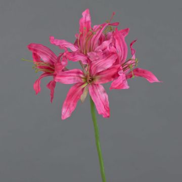 Artificial garden amaryllis KUSTANA, pink-green, 70cm, Ø10–16cm