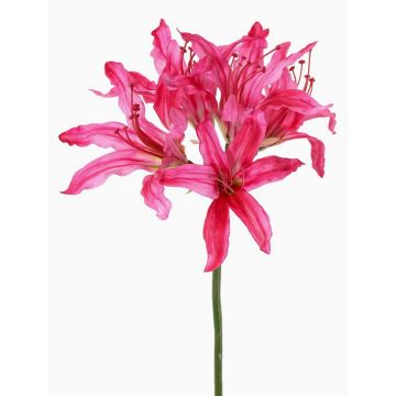 Artificial garden amaryllis KUSTANA, pink-green, 70cm, Ø10–16cm