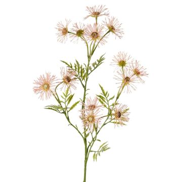 Artificial daisy KORNELA, light pink, 70cm, Ø6cm