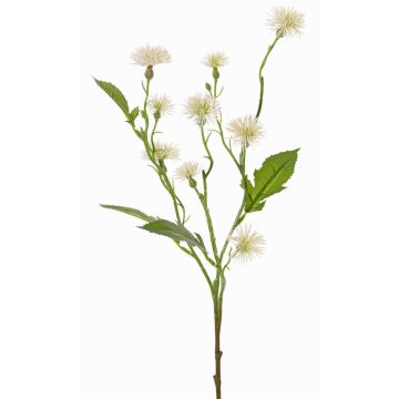 Artificial meadow knapweed HOLLA, white, 22"/55cm, Ø1.2"-1.6"/3-4cm Artificial meadow knapweed HOLLA, white, 22"/55cm, Ø1.2"-1.6"/3-4cm