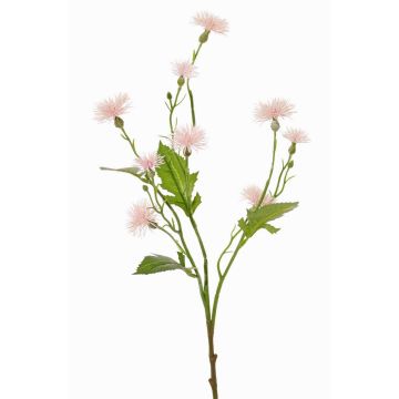 Artificial meadow knapweed HOLLA, pale pink, 22"/55cm, Ø1.2"-1.6"/3-4cm Artificial meadow knapweed HOLLA, pale pink, 22"/55cm, Ø1.2"-1.6"/3-4cm