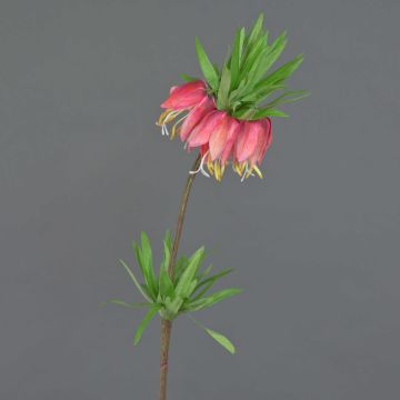False fritillaria imperialis IMST, fuchsia, 26"/65cm