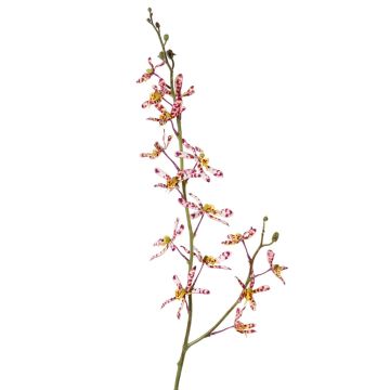 Artificial branch Cattleya orchid TRASSA, violet-white-yellow, 31"/80cm, Ø1.6"-3.1"/4-8cm Artificial branch Cattleya orchid TRASSA, violet-white-yellow, 31"/80cm, Ø1.6"-3.1"/4-8cm