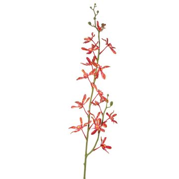 Artificial branch Cattleya orchid TRASSA, red-orange, 31"/80cm, Ø1.6"-3.1"/4-8cm Artificial branch Cattleya orchid TRASSA, red-orange, 31"/80cm, Ø1.6"-3.1"/4-8cm