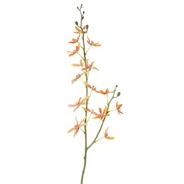 Artificial branch Cattleya orchid TRASSA, orange-yellow-red, 31"/80cm, Ø1.6"-3.1"/4-8cm Artificial branch Cattleya orchid TRASSA, orange-yellow-red, 31"/80cm, Ø1.6"-3.1"/4-8cm